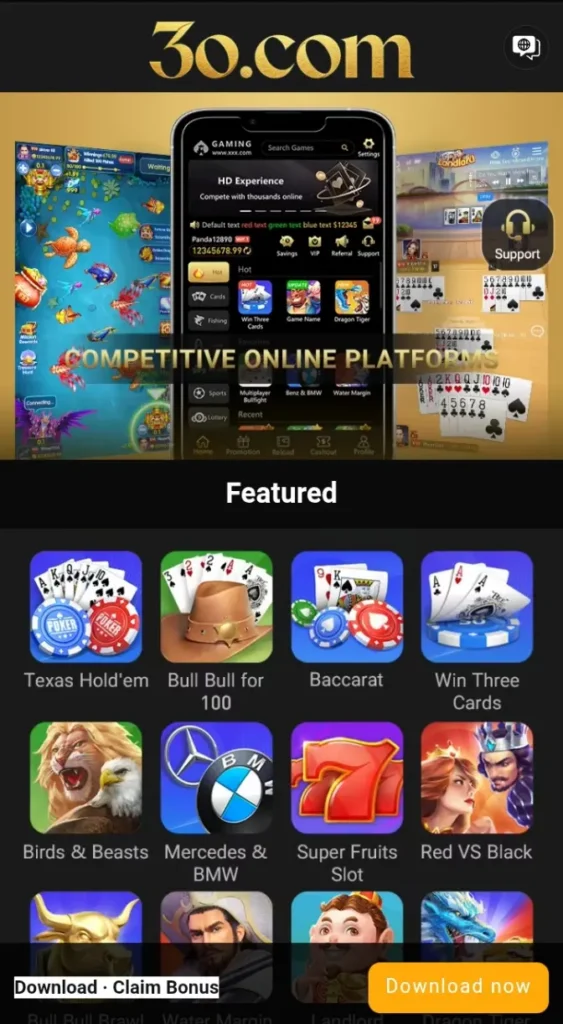 30 Game