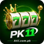 PK11 Game