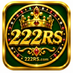 222RS Game